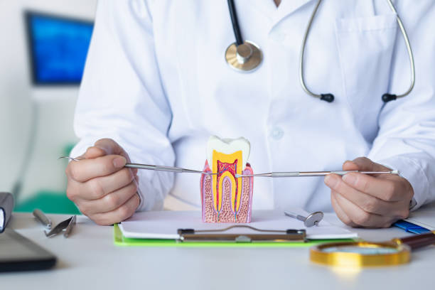 Best Same-Day Emergency Dental Services in Louisville, TN
